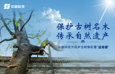 古樹防雷接地系統 古樹防雷接地系統